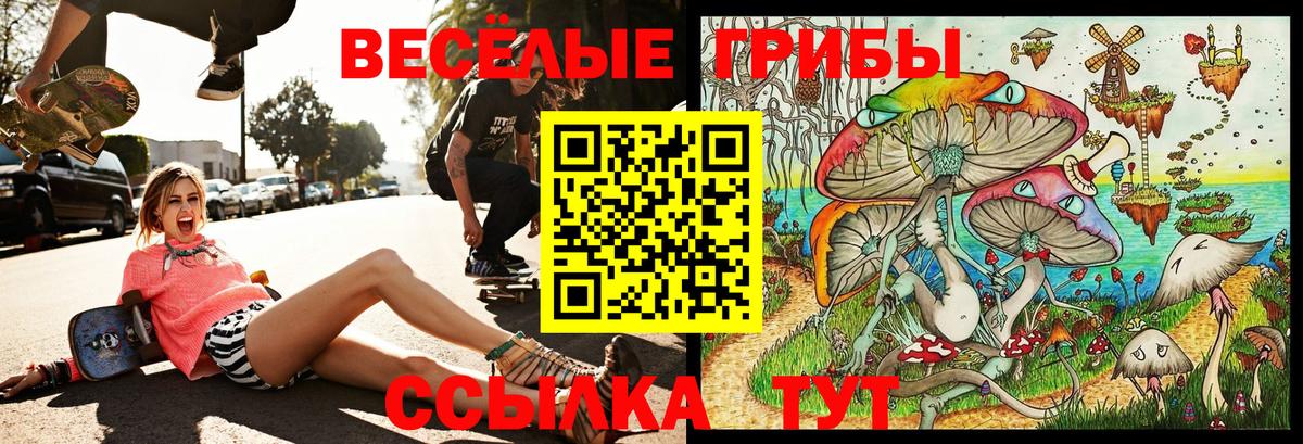 Псилоцибиновые грибы ЛСД Петрозаводск