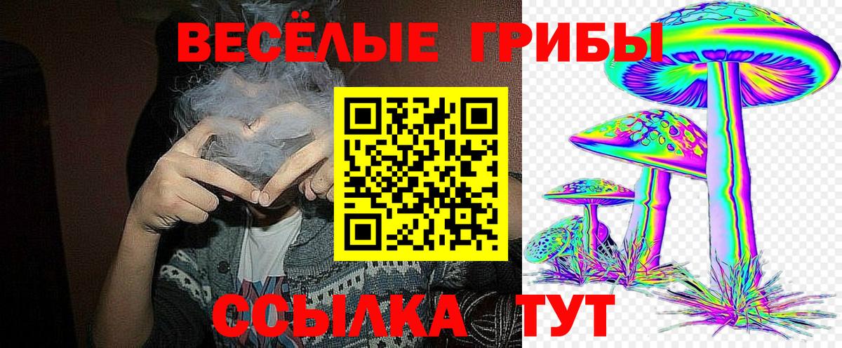 Петрозаводск  Псилоцибиновые грибы MAGIC MUSHROOMS  где купить наркоту  Вход с VPN 